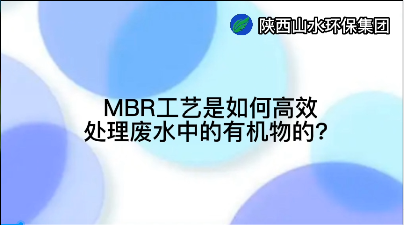 MBR工艺是如何高效处理废水中的有机物的？