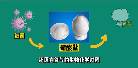 什么是污水处理中的反硝化？