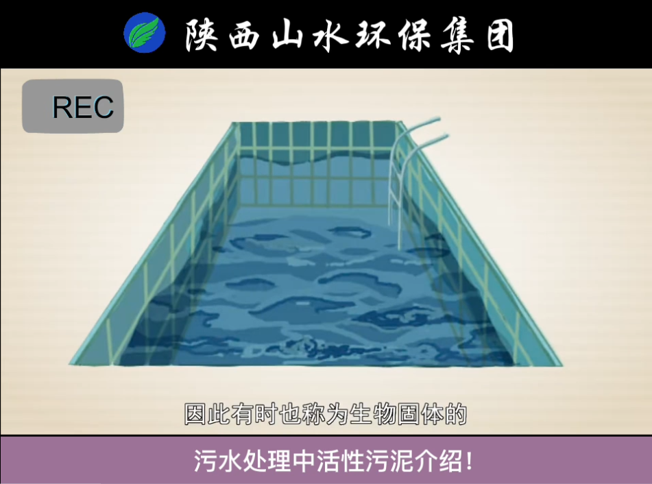 污水处理中活性污泥介绍！